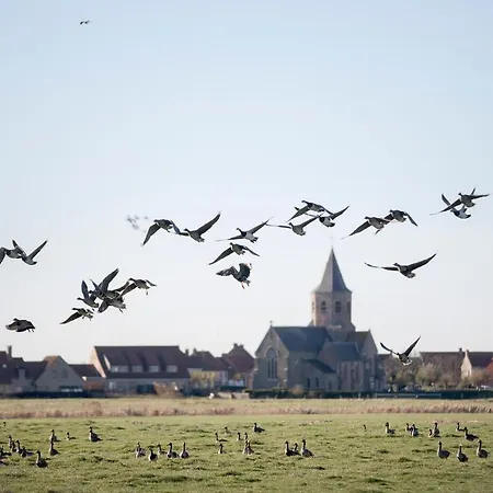 Vakantiewoning Leopolder 別荘 Nieuwmunster