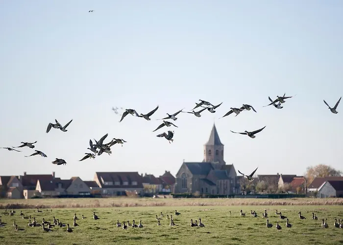 Vakantiewoning Leopolder Σπίτι διακοπών Nieuwmunster